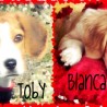 tobyas